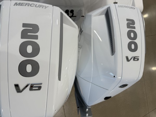 a01QO00000gBT4wYAG_30 (Custom).jpg