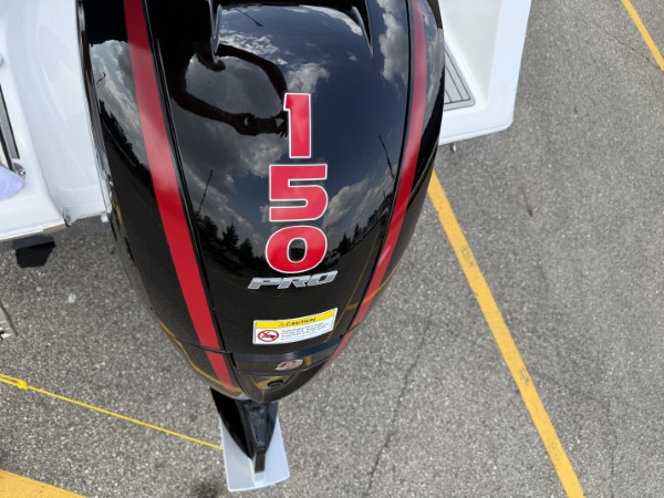 a01QO00000gC8XtYAK_25 (Custom).jpg