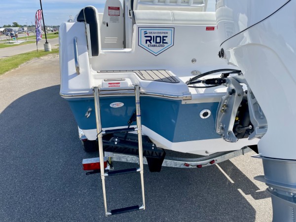 a01QO00000gNrgAYAS_39 (Custom).jpg