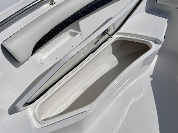 a01QO00000gNrgAYAS_20 (Custom).jpg