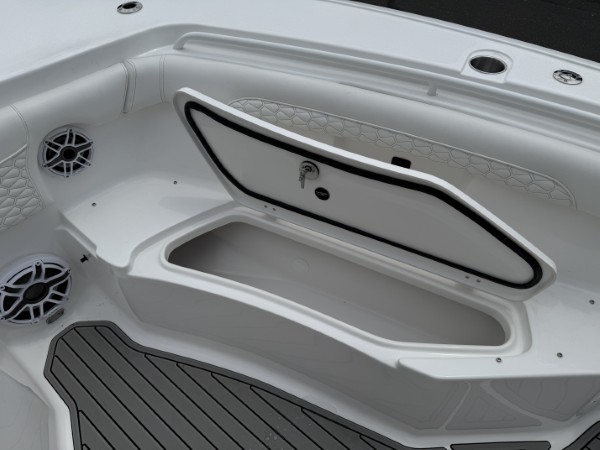 a01QO00000gNzvSYAS_30 (Custom).jpg