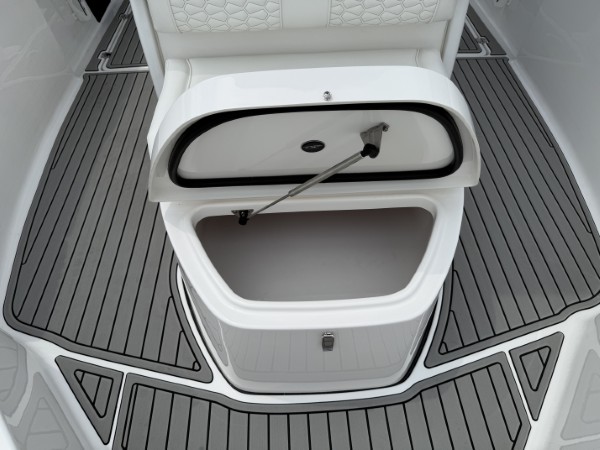 a01QO00000gNzvSYAS_28 (Custom).jpg