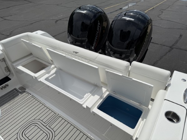 a01QO00000gNzvSYAS_35 (Custom).jpg